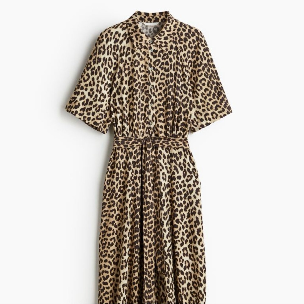 H&M Tie-belt Shirt Dress